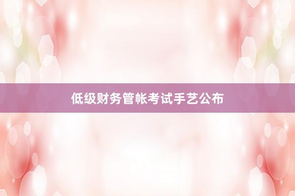 低级财务管帐考试手艺公布