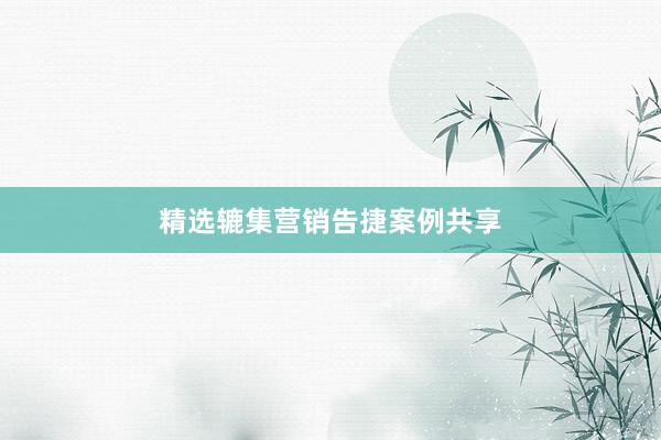 精选辘集营销告捷案例共享